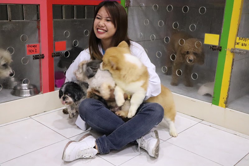Pet Starz Makati Branch — photo