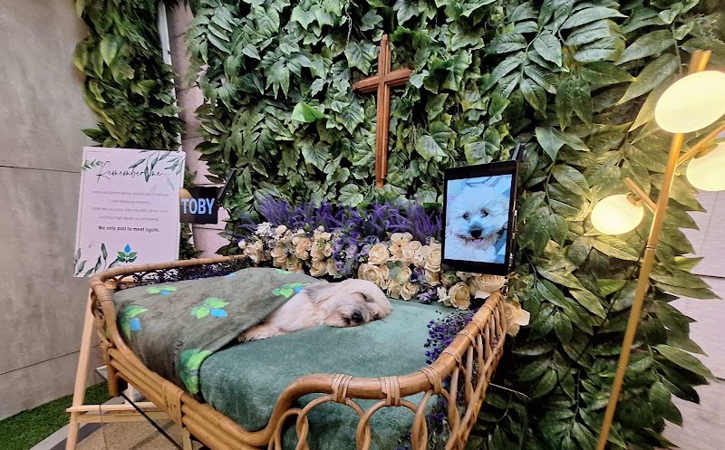 Pet to Nature Philippines — photo