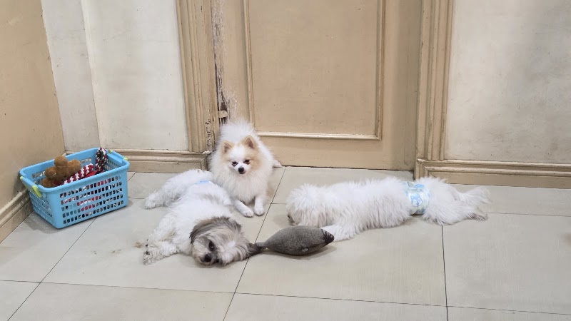 Pooch Pawmily Pet Boarding House — photo