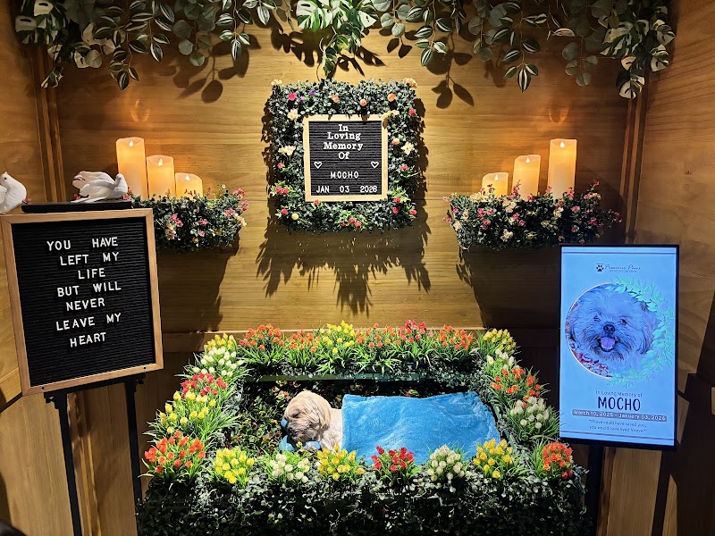Precious Paws Aftercare Services — photo