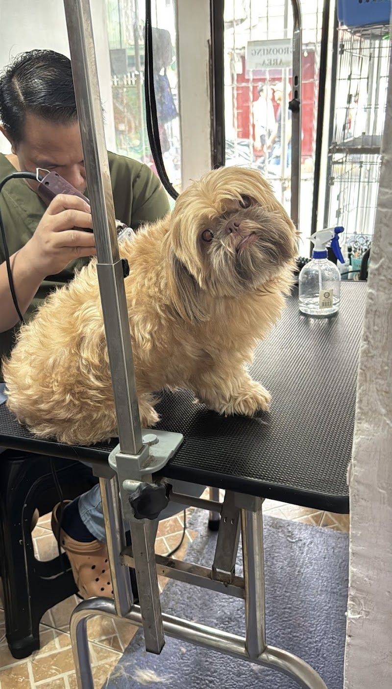 R. Papa Vet — photo