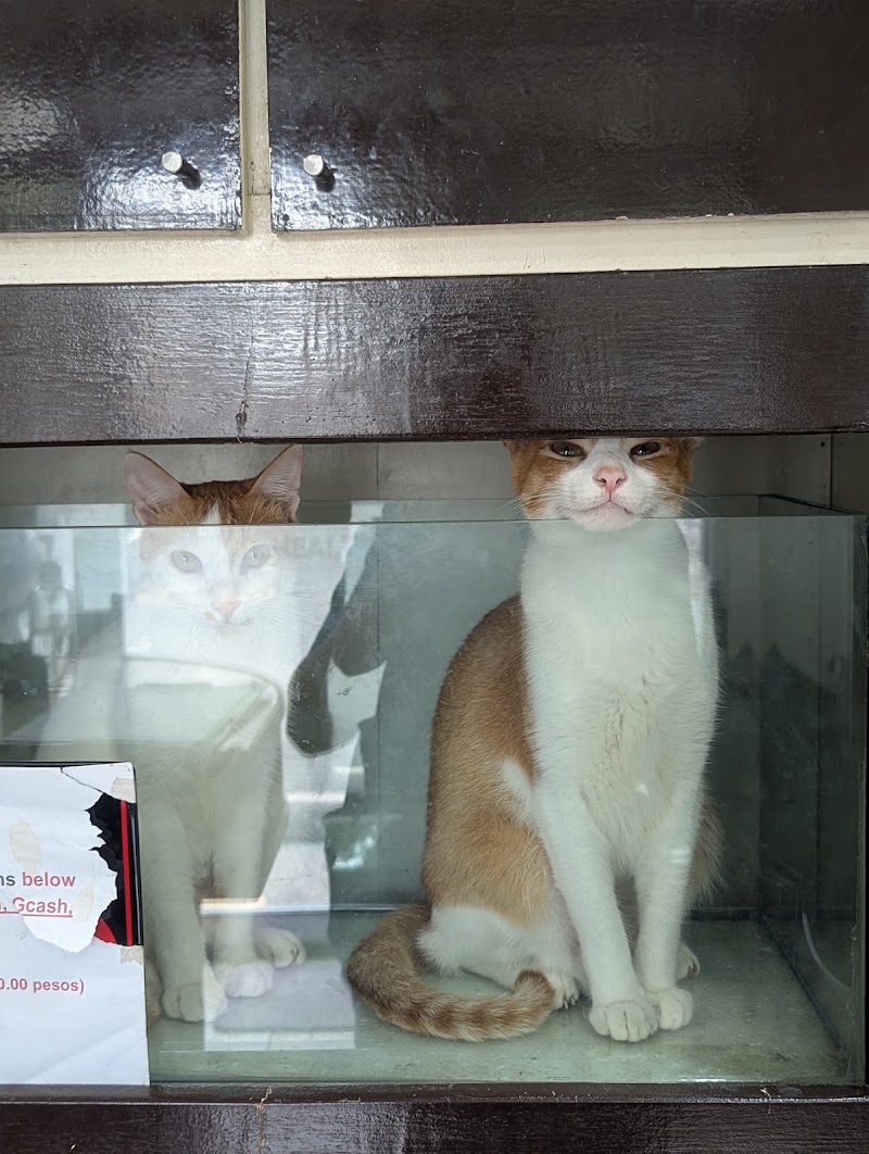 Santa Ana Animal Health Clinic — photo