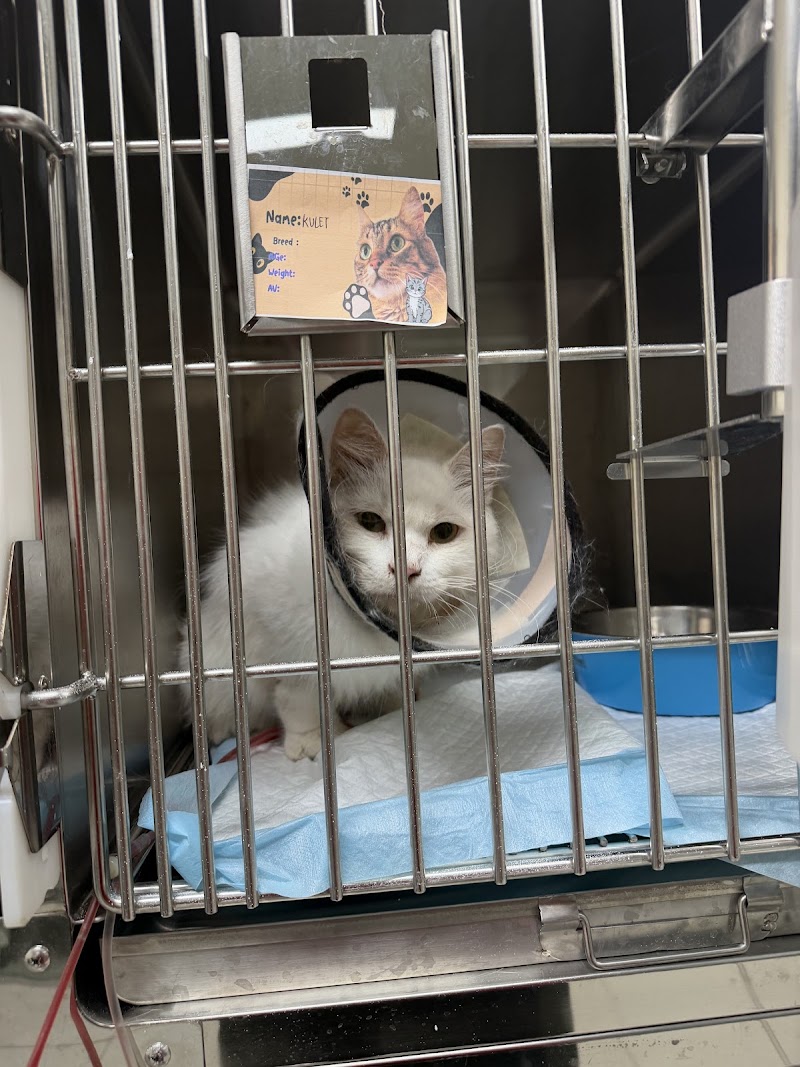 Serbisyo Beterinaryo Animal Hospital 24 Hrs Pet Emergency Mandaluyong — photo