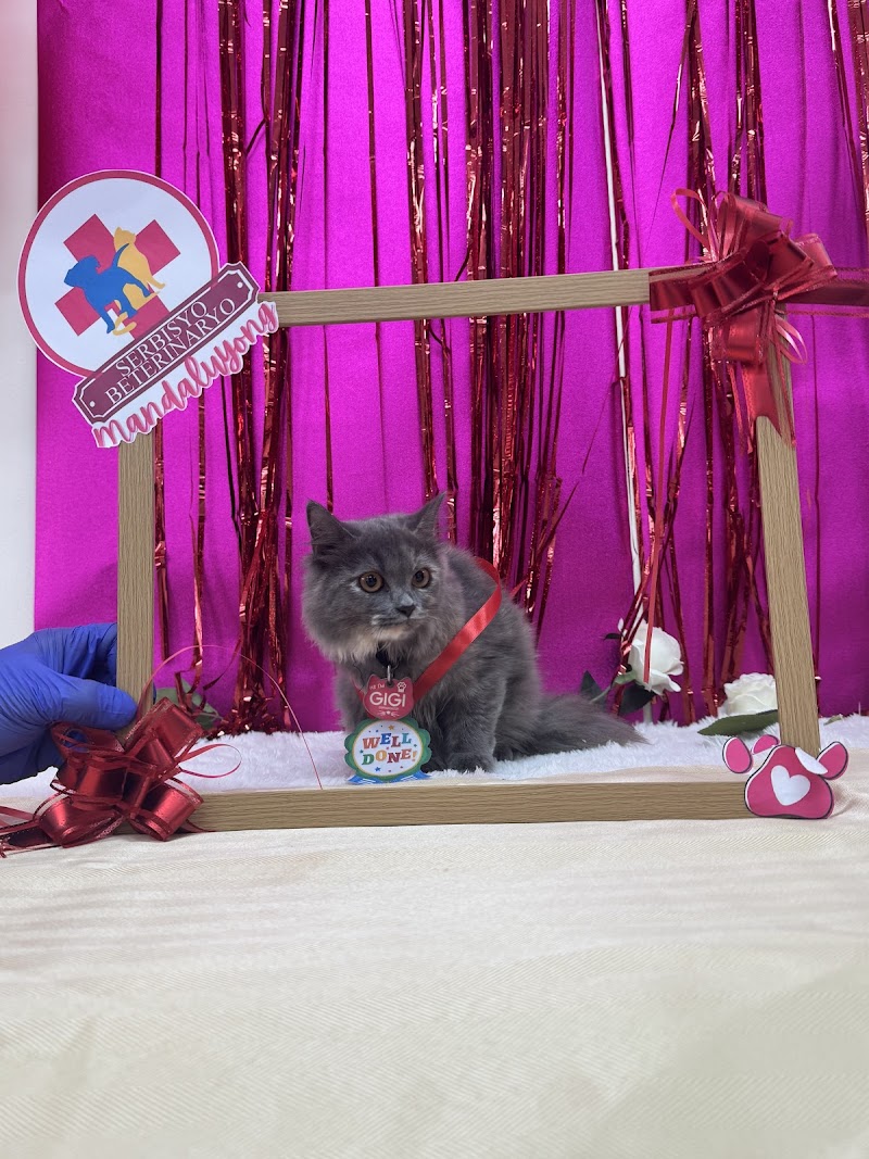Serbisyo Beterinaryo Animal Hospital 24 Hrs Pet Emergency Mandaluyong — photo