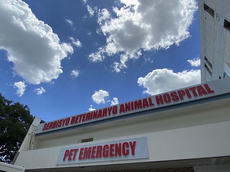 Serbisyo Beterinaryo Animal Hospital Quezon City 24 Hrs Pet Emergency — photo