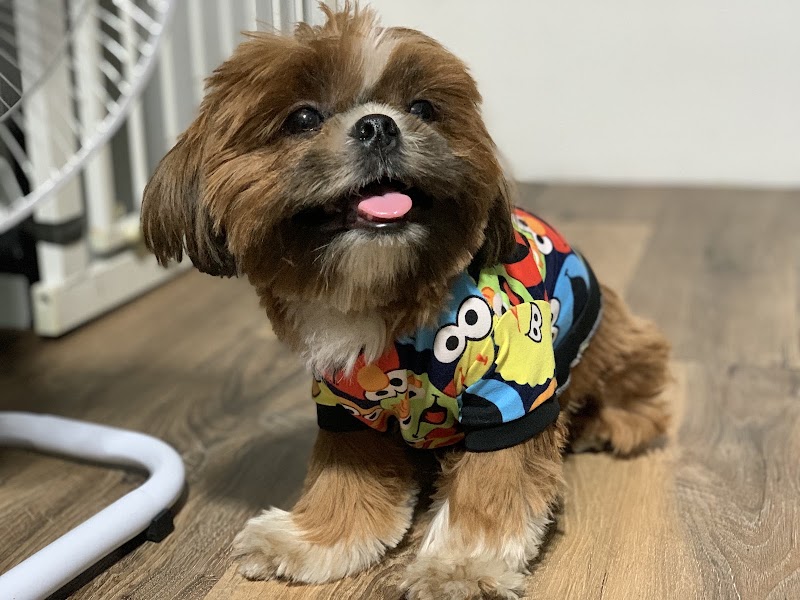 Shadow Fur Pets and Services — photo