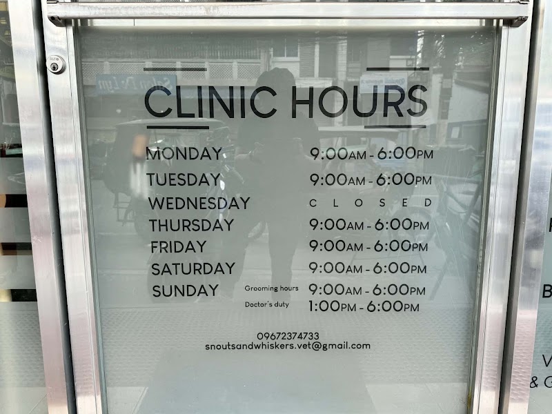 Snouts and Whiskers Veterinary Clinic and Grooming Center — photo