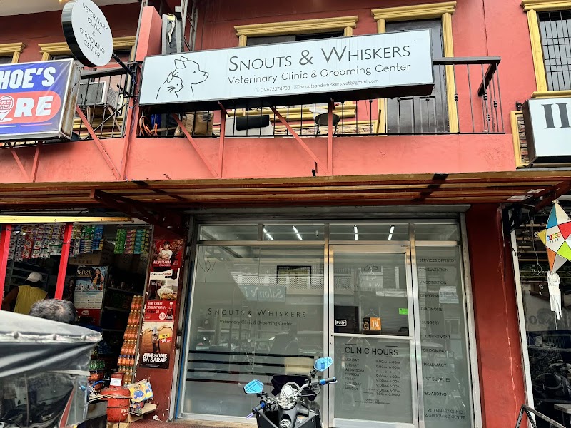 Snouts and Whiskers Veterinary Clinic and Grooming Center — photo