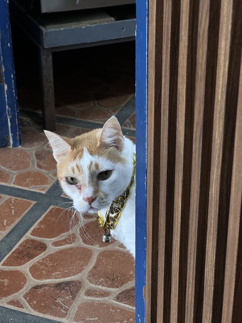 St. Dwyn Animal Care Clinic — photo