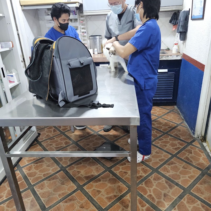 St. Dwyn Animal Care Clinic — photo
