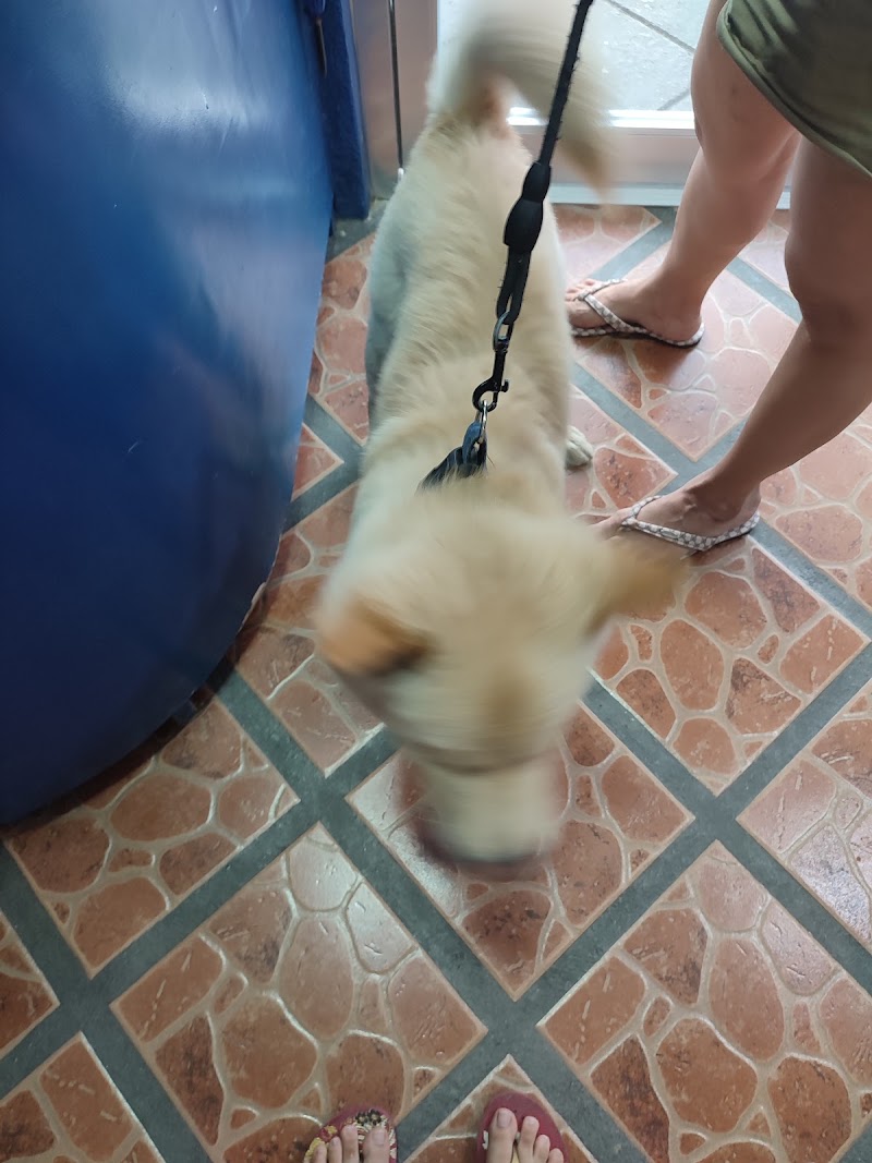 St. Dwyn Animal Care Clinic — photo