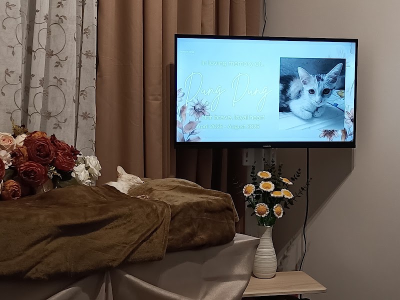 Sunset Ridge Pet Cremation — photo
