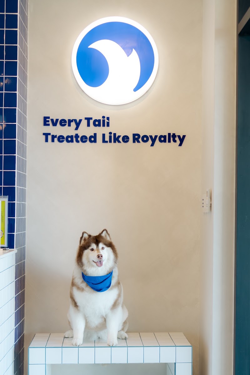 Tail Crew Pet Grooming Salon — photo