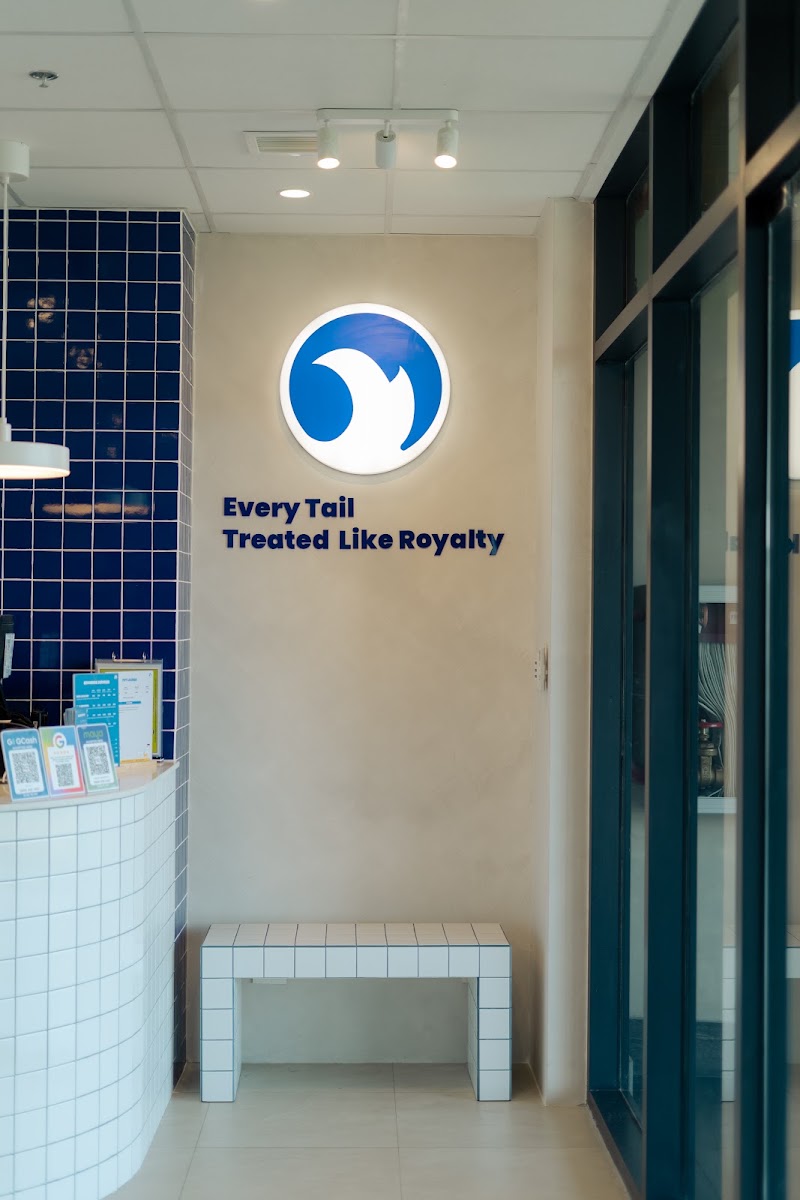 Tail Crew Pet Grooming Salon — photo