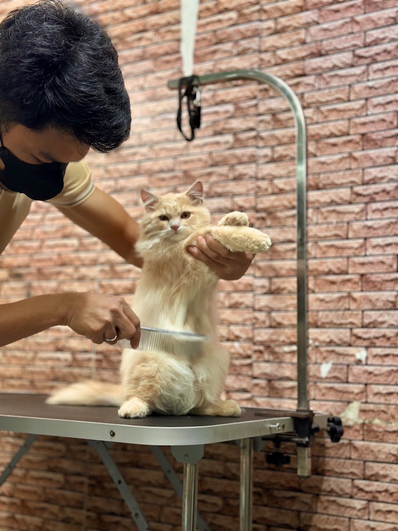 Tails of the City Pet Shop and Grooming — photo