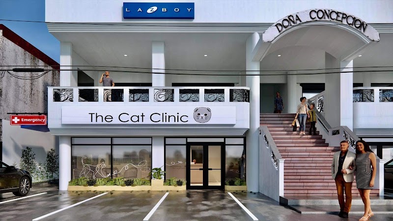 The Cat Clinic — Makati — photo