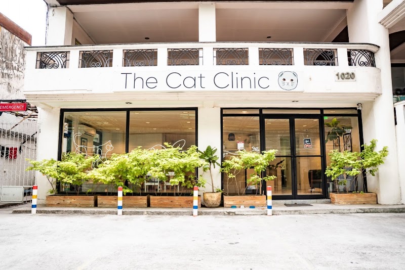 The Cat Clinic - Makati — photo
