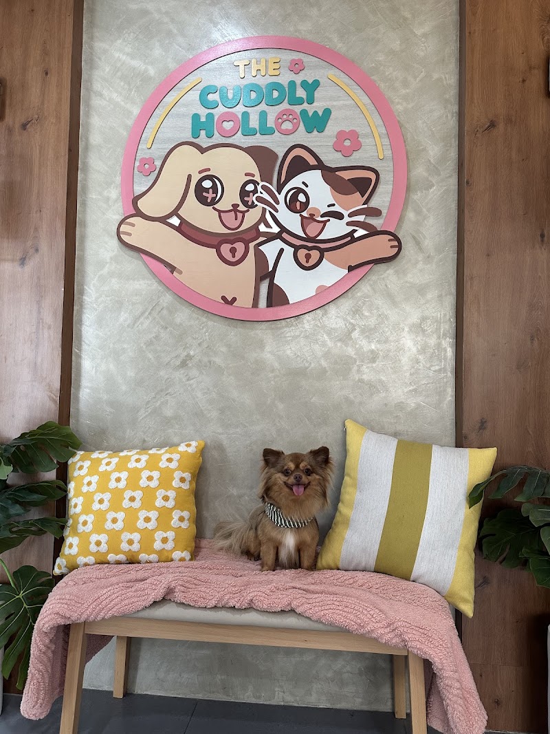 The Cuddly Hollow — photo