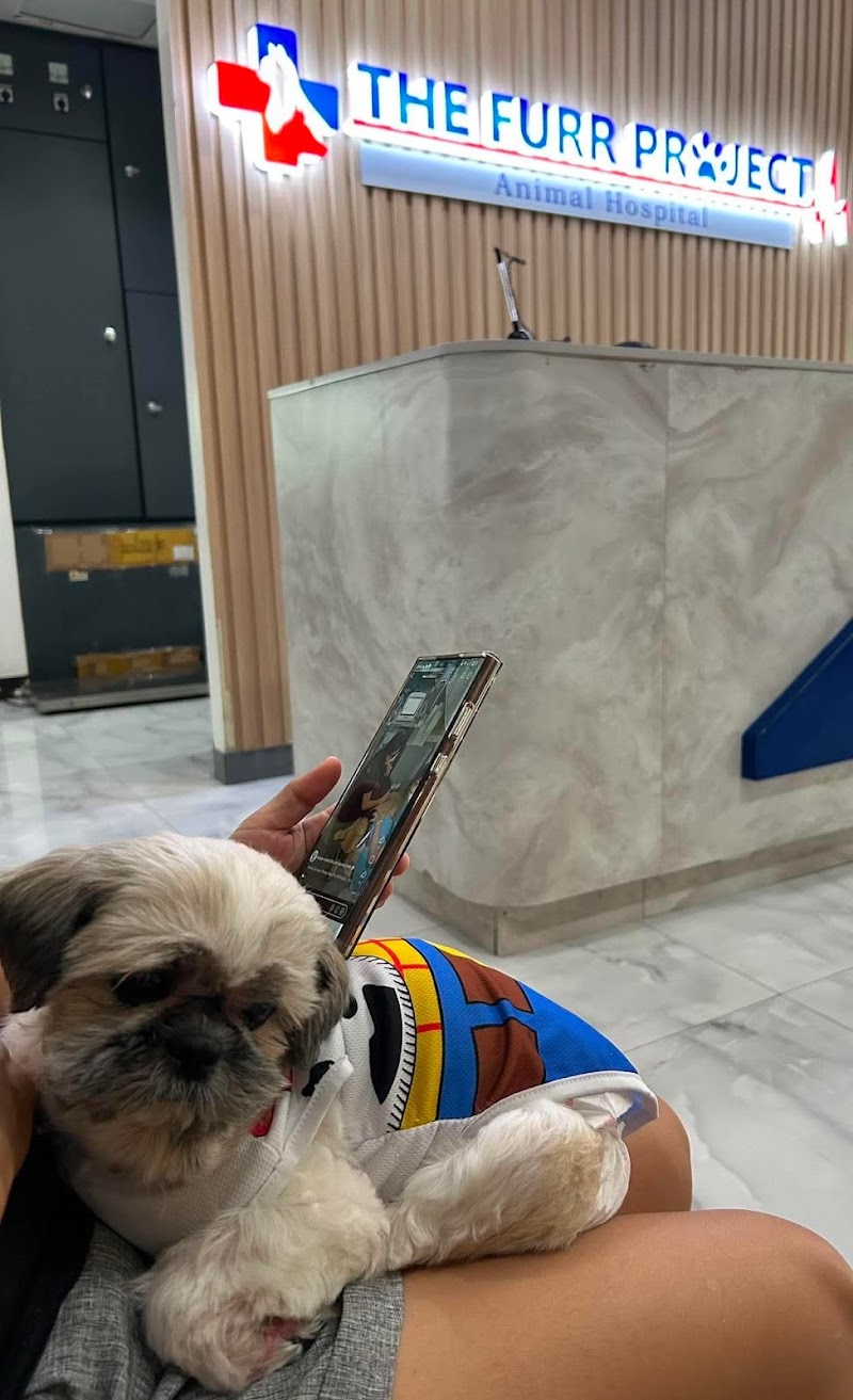 The Furr Project Animal Hospital — photo