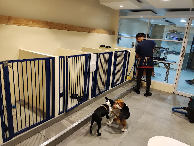 The Groomery PH by Urban Tails — photo