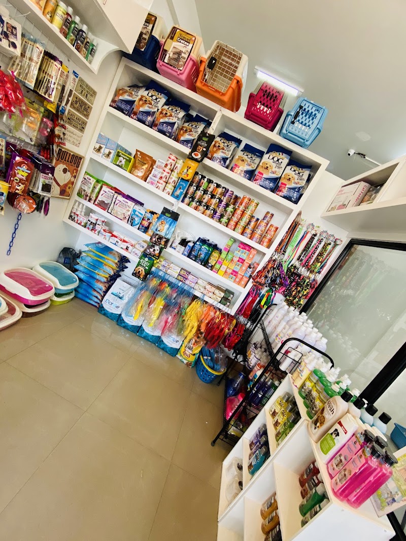 Tolentino's Animal Clinic and Grooming Center — photo