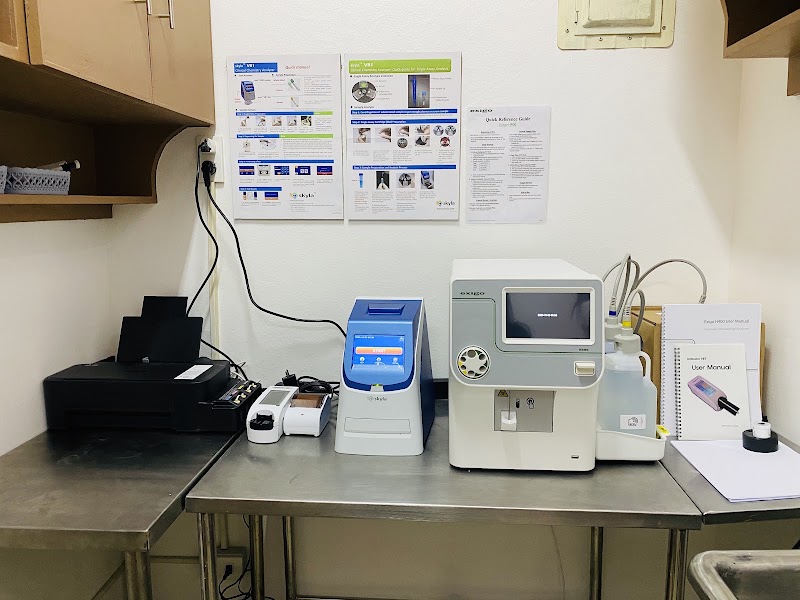 Tolentino's Animal Clinic and Grooming Center — photo