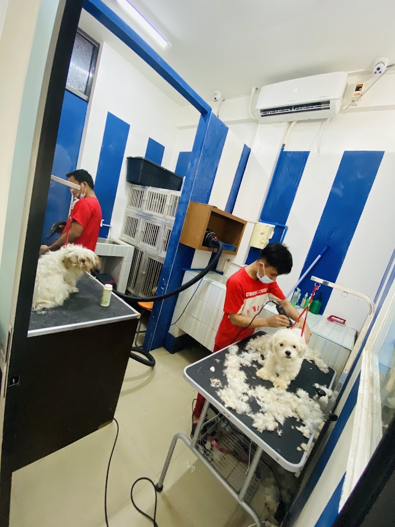 Tolentino's Animal Clinic and Grooming Center — photo