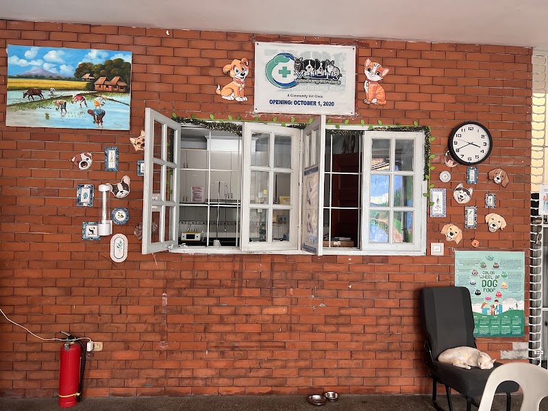 Vetlink Veterinary Services - A Community Vet Clinic — photo