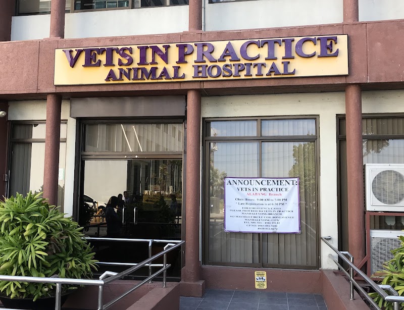 Vets In Practice Alabang — photo