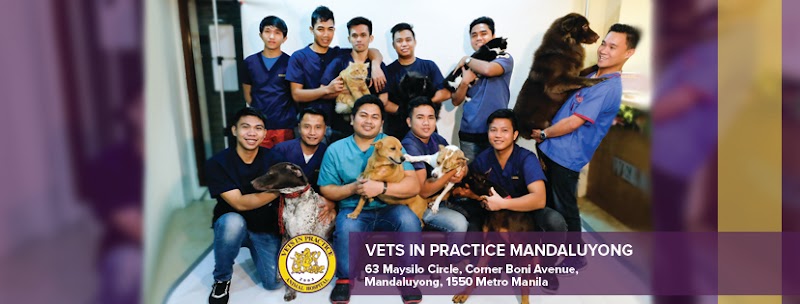 Vets in Practice Animal Hospital - Mandaluyong — photo