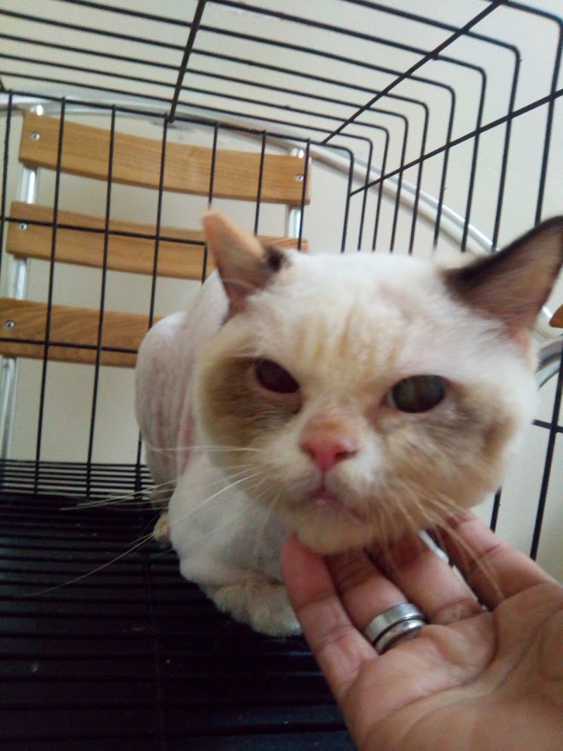Vets in Practice Animal Hospital - Mandaluyong — photo