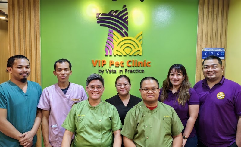 VIP Pet Clinic by Vets In Practice — photo