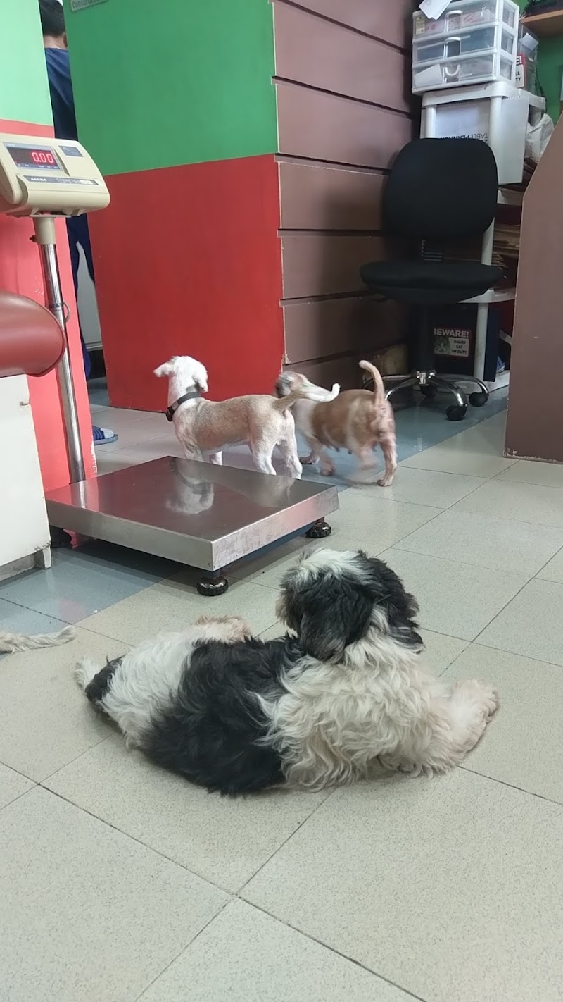 Wags & Tails Veterinary Clinic ( Managed by The Veterinary Hub Pte. Corp.) — photo